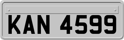 KAN4599