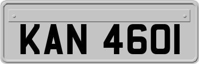 KAN4601