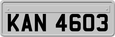 KAN4603