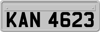 KAN4623