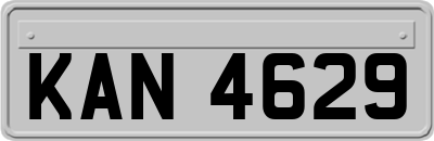 KAN4629