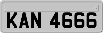 KAN4666
