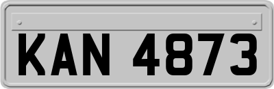 KAN4873