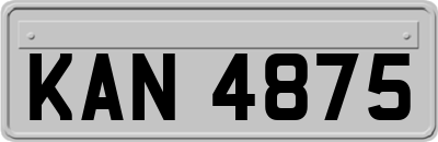 KAN4875