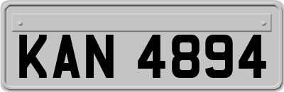 KAN4894