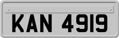 KAN4919