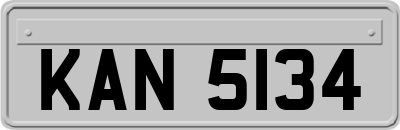 KAN5134