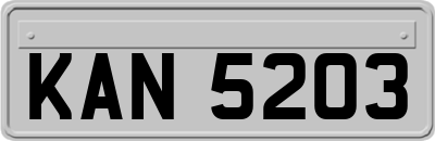 KAN5203