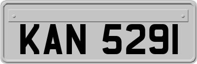 KAN5291