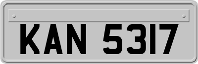 KAN5317