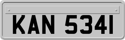 KAN5341