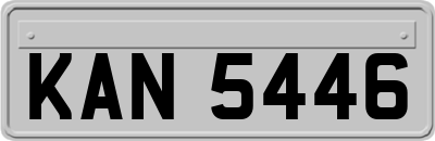 KAN5446