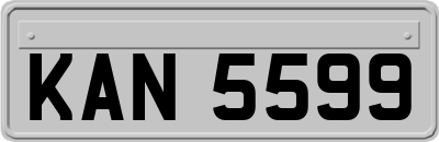 KAN5599