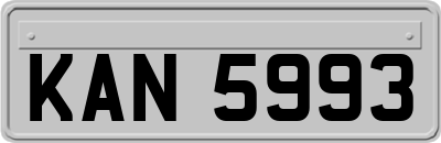 KAN5993
