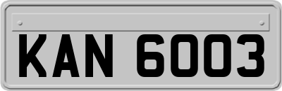 KAN6003