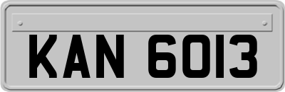 KAN6013