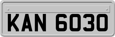 KAN6030
