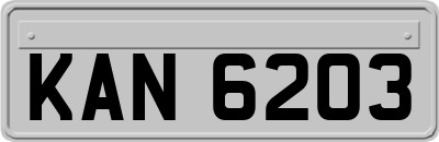 KAN6203