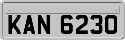 KAN6230