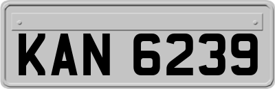 KAN6239