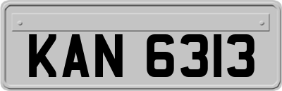 KAN6313
