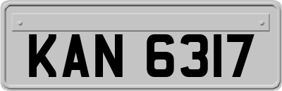 KAN6317