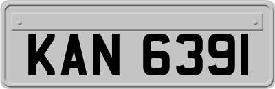 KAN6391