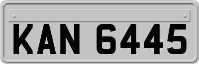 KAN6445