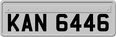 KAN6446