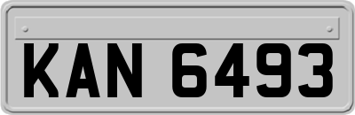 KAN6493