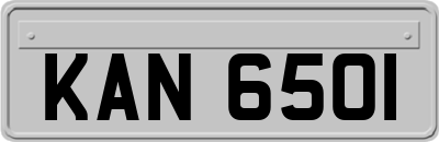 KAN6501