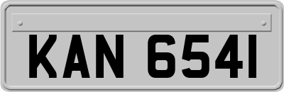 KAN6541