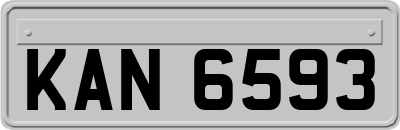KAN6593