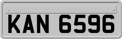 KAN6596