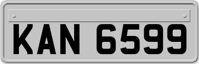KAN6599