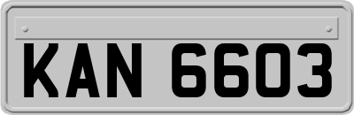 KAN6603