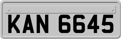 KAN6645