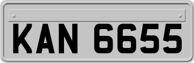 KAN6655