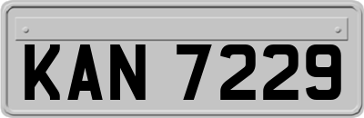 KAN7229