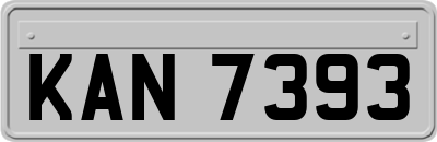 KAN7393
