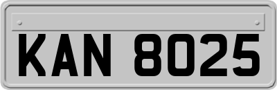 KAN8025