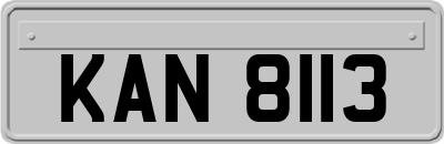 KAN8113