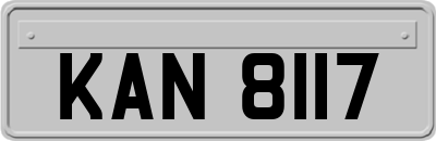 KAN8117