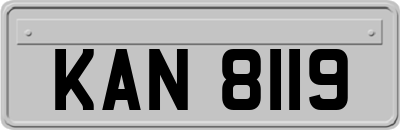 KAN8119
