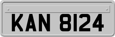 KAN8124