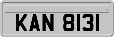 KAN8131