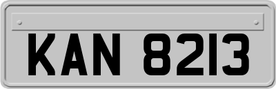 KAN8213