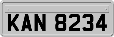KAN8234