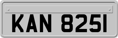 KAN8251