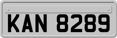 KAN8289